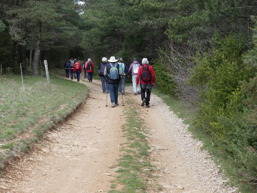 P1070647.JPG