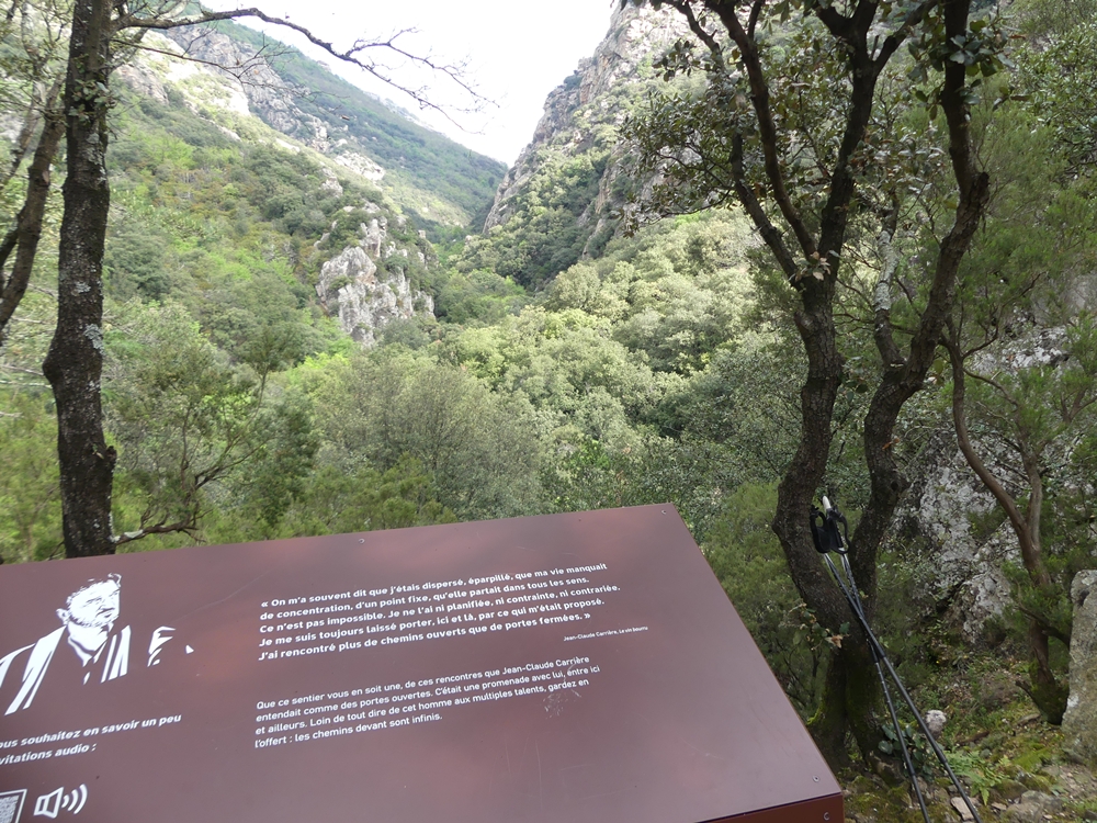 P1110666.JPG