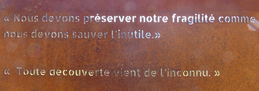 P1110669.JPG