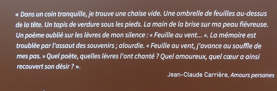 P1110677.JPG