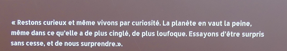 P1110694.JPG