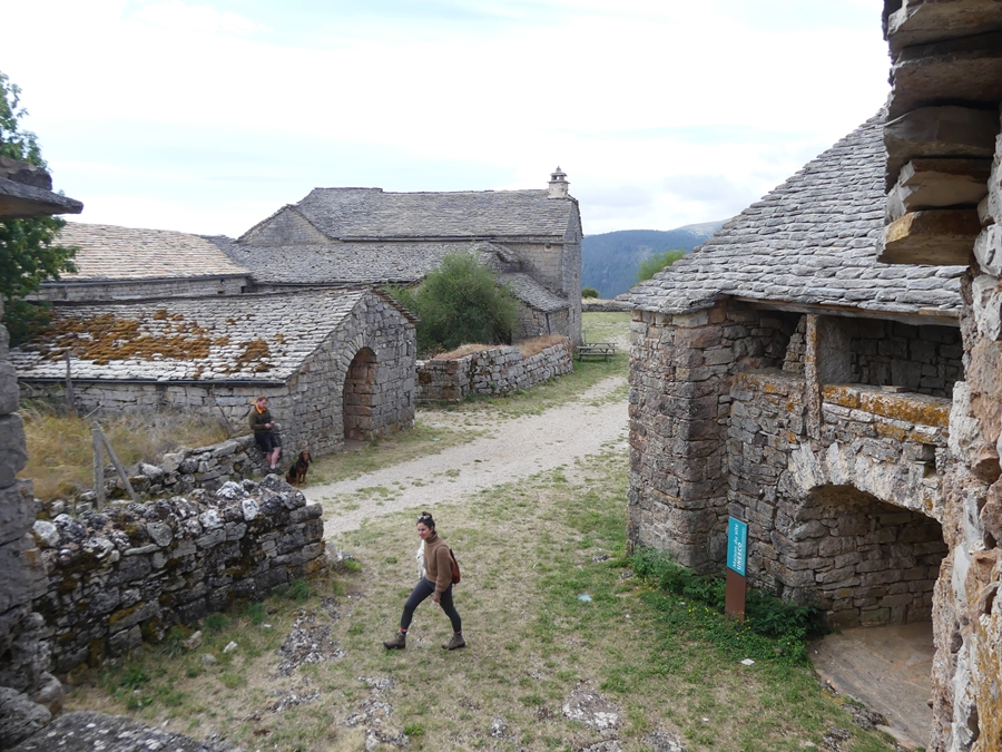 P1120327.JPG