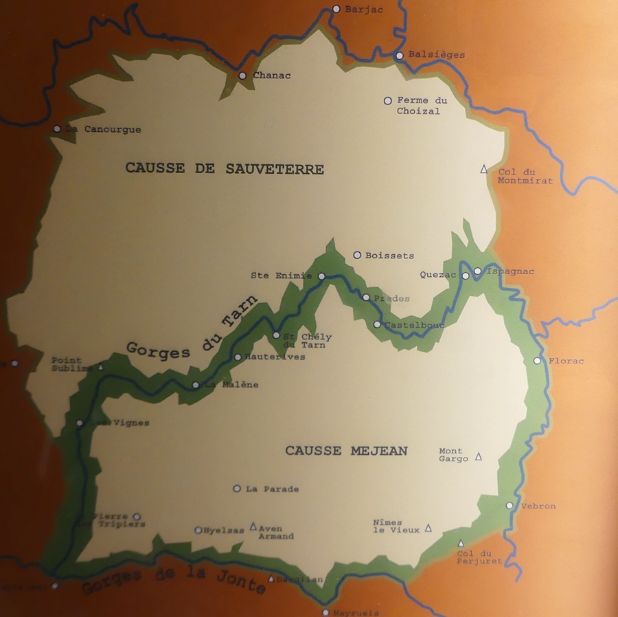P1120330.JPG