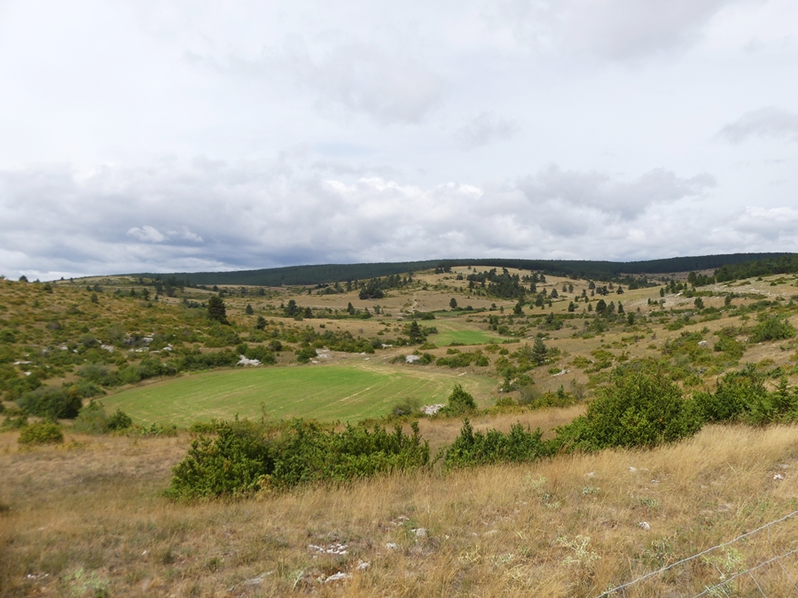 P1120423.JPG