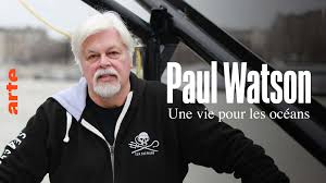 Paul Watson.jpg